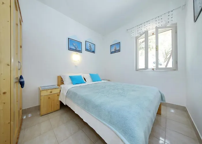 House Zelanto Veli Tkon