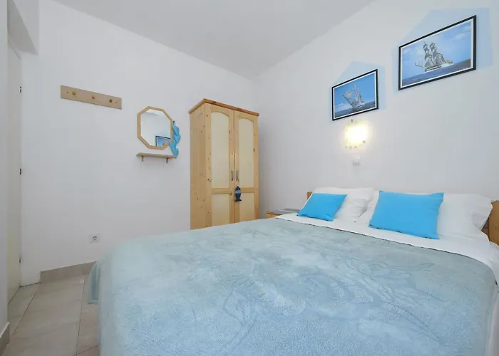 House Zelanto Veli